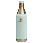 All Day Slim Bottle | 20 OZ - Stanley Create