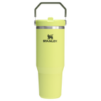 The IceFlow™ Flip Straw Tumbler | 30 OZ - Stanley Create